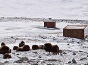 Build Public Observation Educational Space Norway