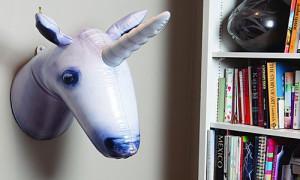 It's ok, inflatable unicorns don't feel pain. 