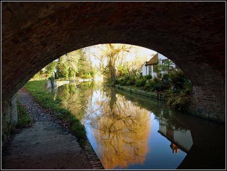 The Basingstoke Canal