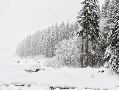 Five Favorite Winter Reads from Last Winter
