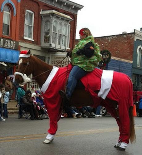 Top 10 Pictures of Christmas Horses