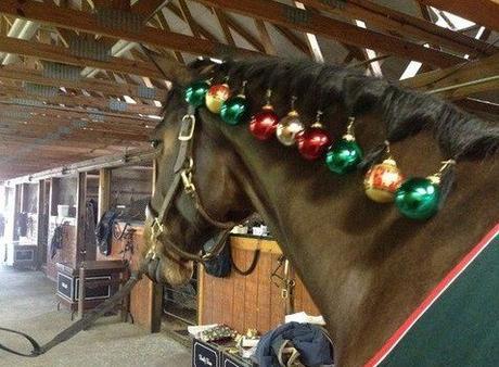 Top 10 Pictures of Christmas Horses