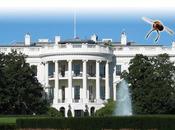 Tell President #BeeKindObama Suspend Bee-toxic Neonics!