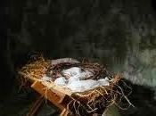 Christmas Empty Crib: Recent Catholic Commentary Broken Church