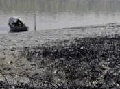 Sends Team Clean Sunderbans Spill Bangladesh