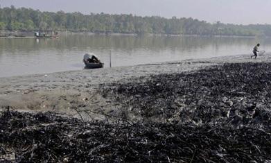 UN sends team to clean up Sunderbans oil spill in Bangladesh