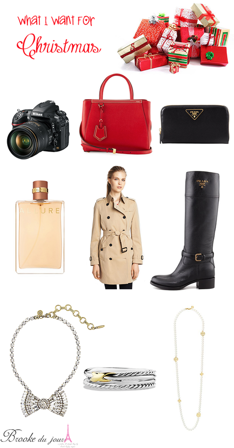 Burberry trench coat Nikon D800 Prada wallet