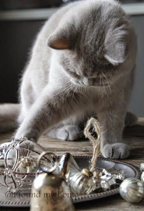 Silver And Gold..Silver And Gold... Silver And Gold..Silver And Gold...