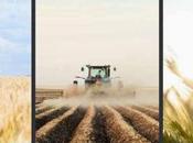 Indianapolis Fair .......... Hospital Gives Salt Ice-breaking