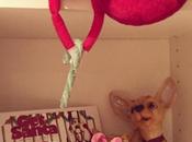 Have Candy Canes 341/365