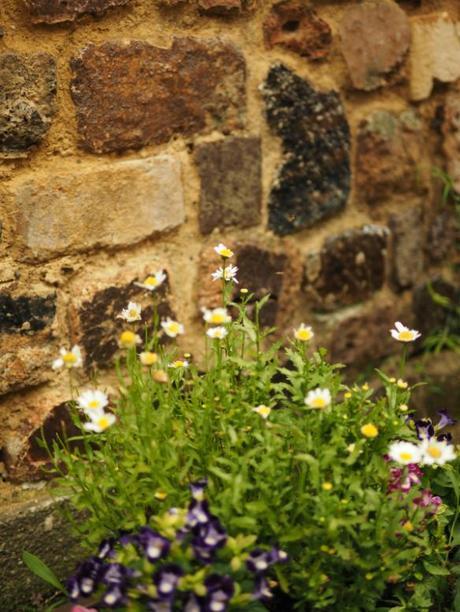 P6070136 トンバイ壁のある裏通り，有田　/　Tonbai walls everywhere in Arita