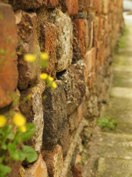 P6070129 トンバイ壁のある裏通り，有田　/　Tonbai walls everywhere in Arita