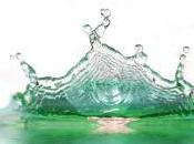 Influential Conservation Papers 2014