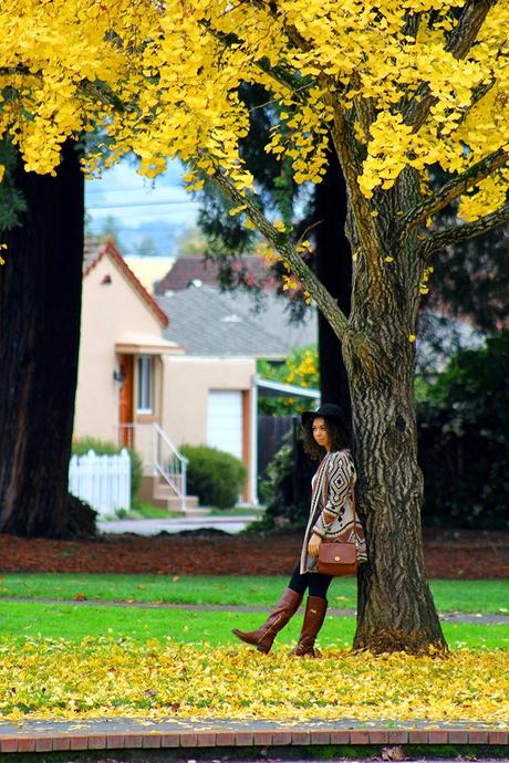 Under the Yellow Tree