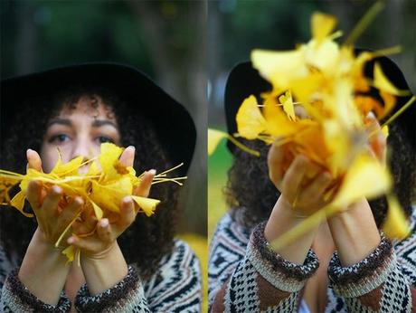 Under the Yellow Tree