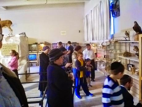 Touring Eretz Yisrael: The Biblical Museum of Natural History