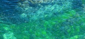 Green-blue shallow seas round Looe Island