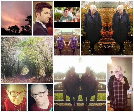 November Instagram Round Up