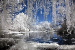 lake at winter