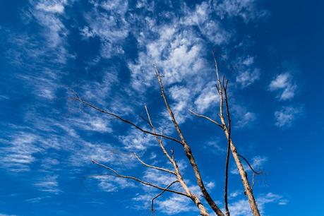 cirrus clouds blue sky