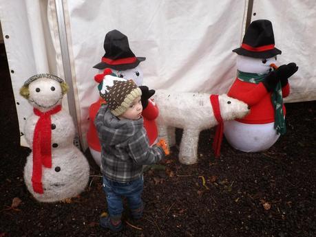 Our Festive Week & Our Trip On The Polar Express!