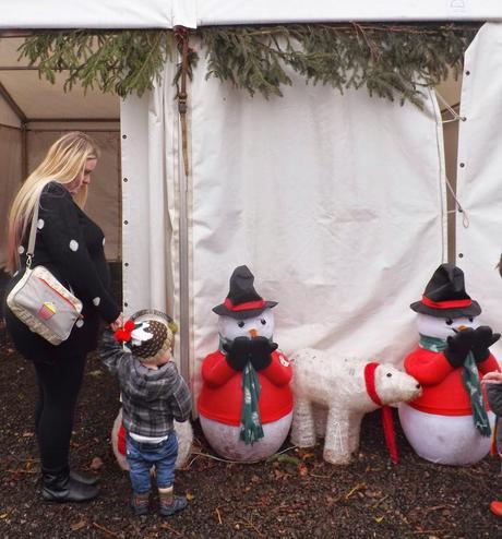 Our Festive Week & Our Trip On The Polar Express!