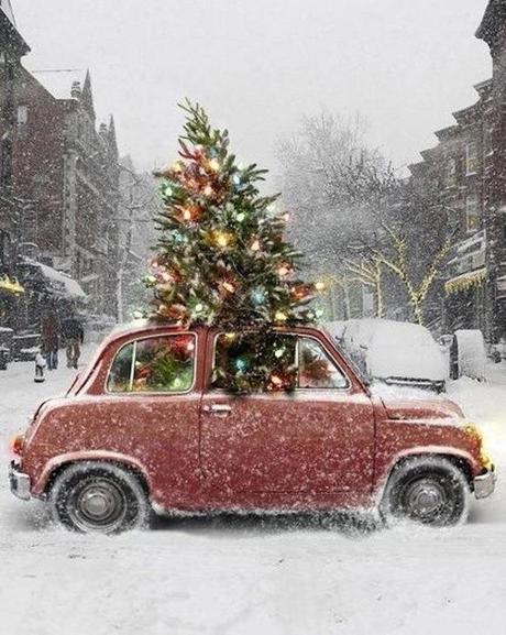 ilovegreeninspiration_Christmas-Tree-Car