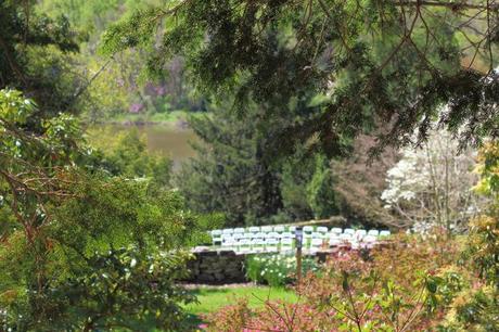 Scenic scenery for celtic wedding