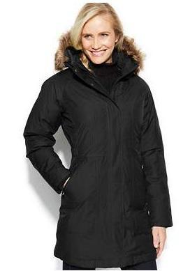 The North Face Arctic Down Parka1 mens fashion 