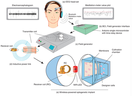 A bit of science fiction...a brain implant that allows mind-controlled gene expression.