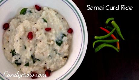 Samai Curd Rice | Millet Recipies