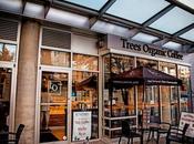 Trees Organic: Best Cheesecake Vancouver?