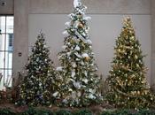 Christmas Conservatory Longwood Gardens 2014