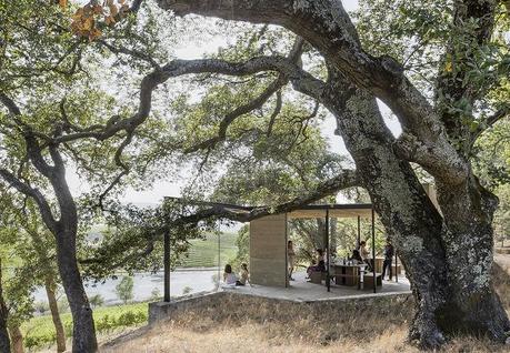 modern pavilion at a winery