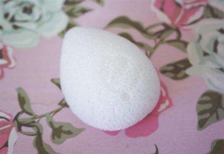 EcoTools Pure Complexion Facial Sponge