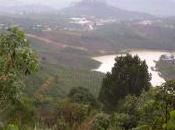 Free Open-access Satellite Data Biodiversity Conservation