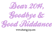 Dear 2014, Goodbye Good Riddance