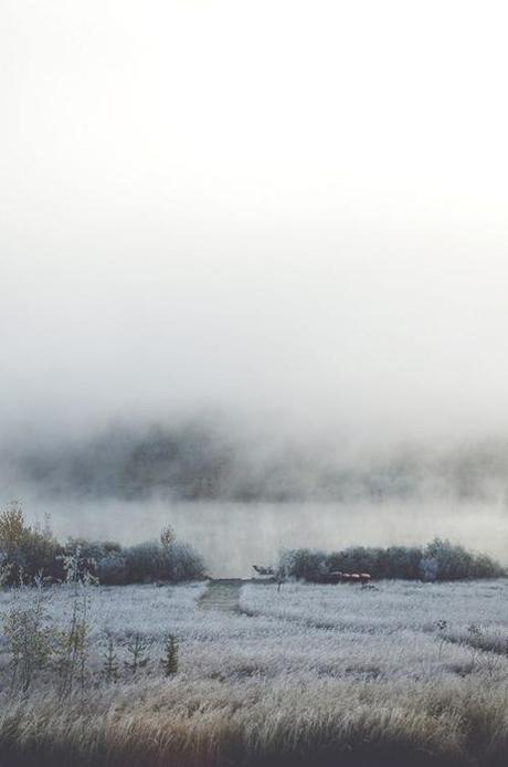 mist-frosty-mornings-tasha-marie