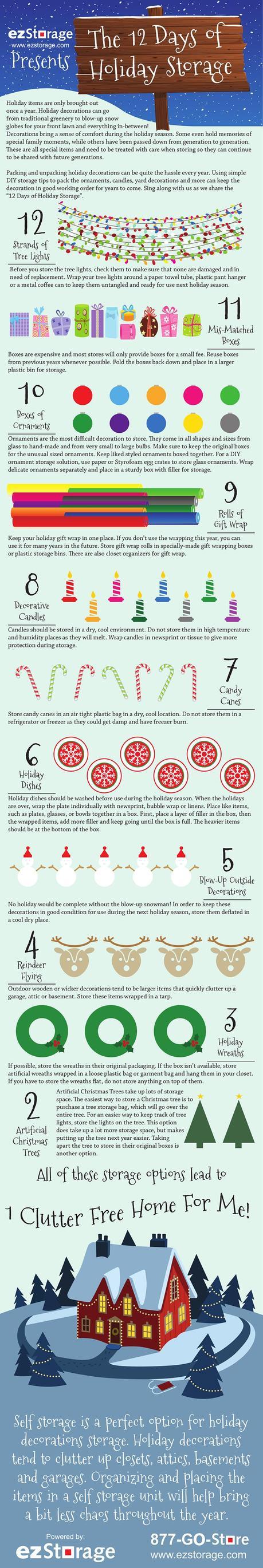 Holiday Storage Tips Infographic
