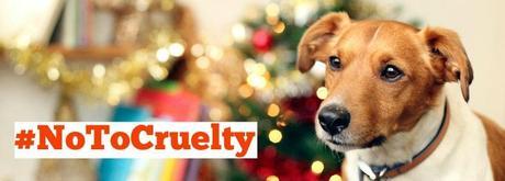 Cruelty at Christmas: It isn't make believe