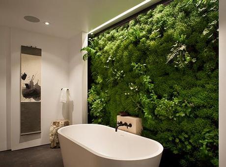 Living Wall in the Bathroom