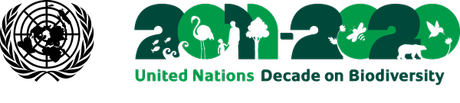 logo undb en Join in with the live and interactive Launch of the UN Decade on Biodiversity