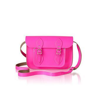 Gift of the Day: Satchel