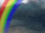 Tube Rose Me.........