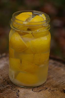 Preserved Lemons and Gourmet's Game Changer #25