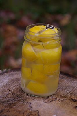 Preserved Lemons and Gourmet's Game Changer #25