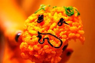 Halloween Rice Krispy Treats