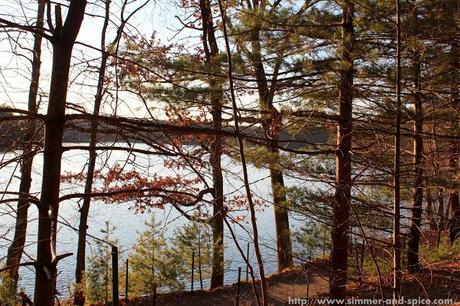 Walden Pond State Reservation, MA