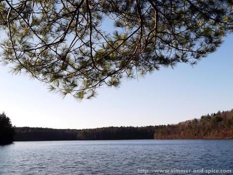 Walden Pond State Reservation, MA