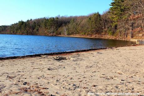 Walden Pond State Reservation, MA